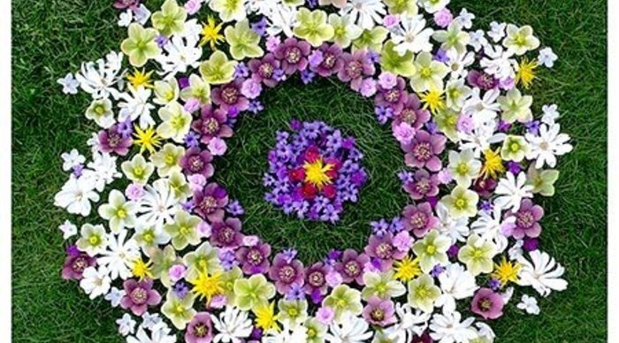 Scaled_flroes_e_mandalas2