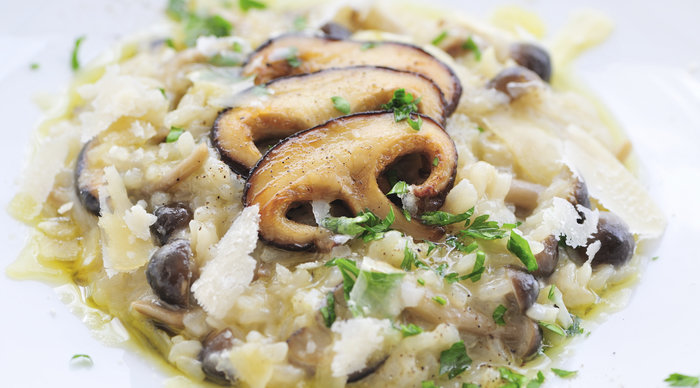 Scaled_risottofunghi