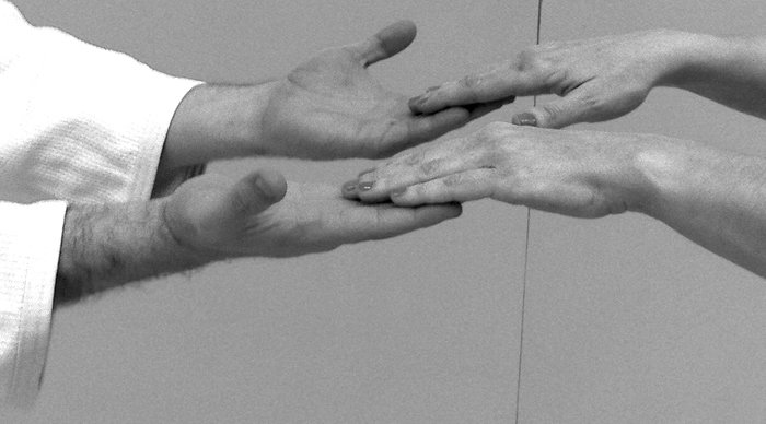Scaled_aikido