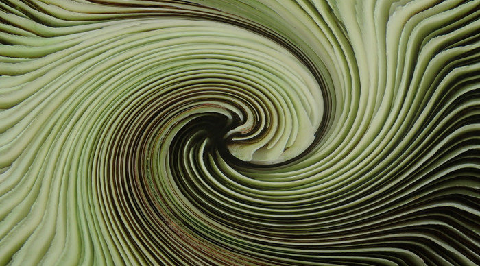 Scaled_15027764786_4d411e4e2e_b