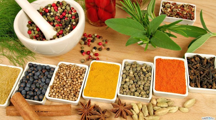 Scaled_imagem_alimenta_ao_energetica