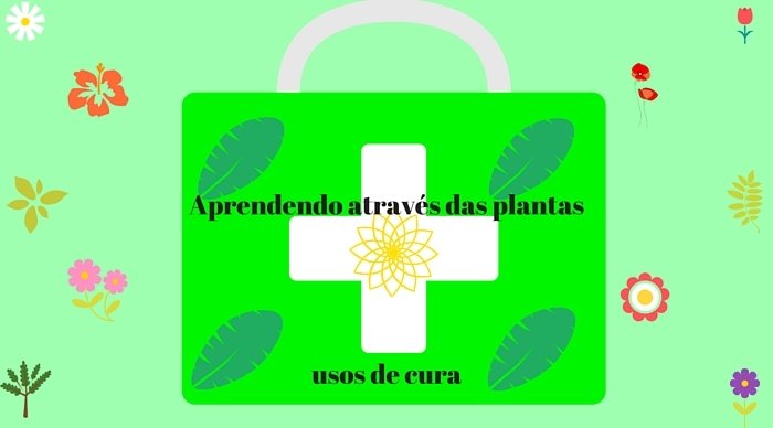 Scaled_aprendendo_atrave_s_das_plantas