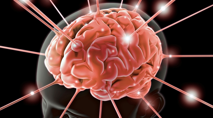 Scaled_19069-desktop-wallpapers-brain
