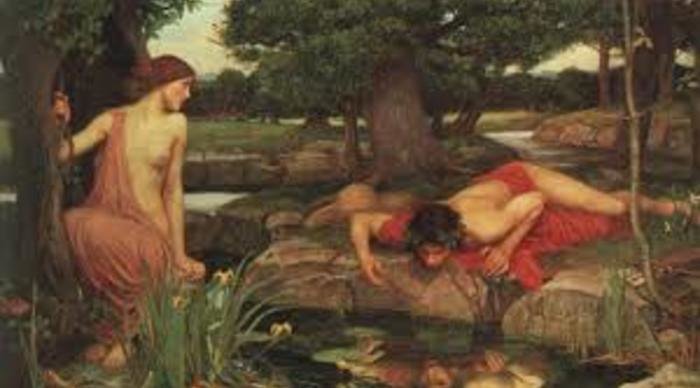Scaled_narciso