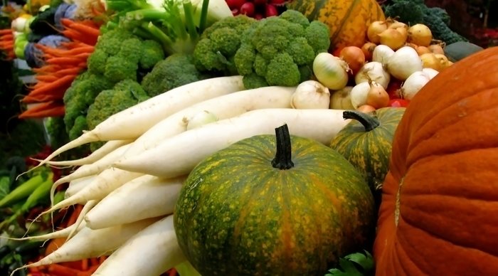Scaled_veg-1172528