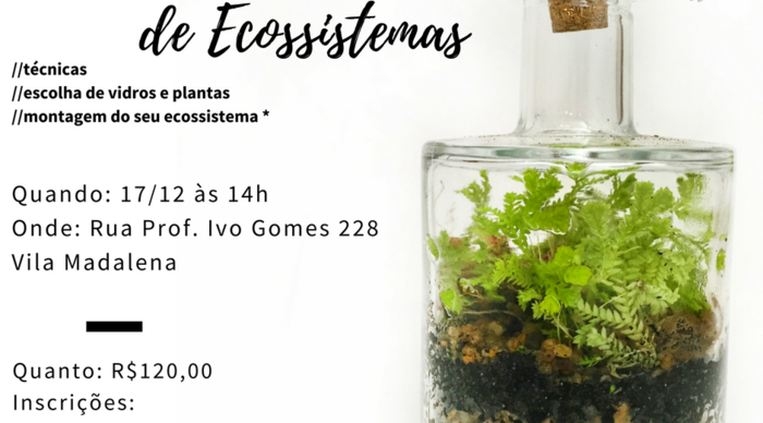 Scaled_ws_vl_madalena