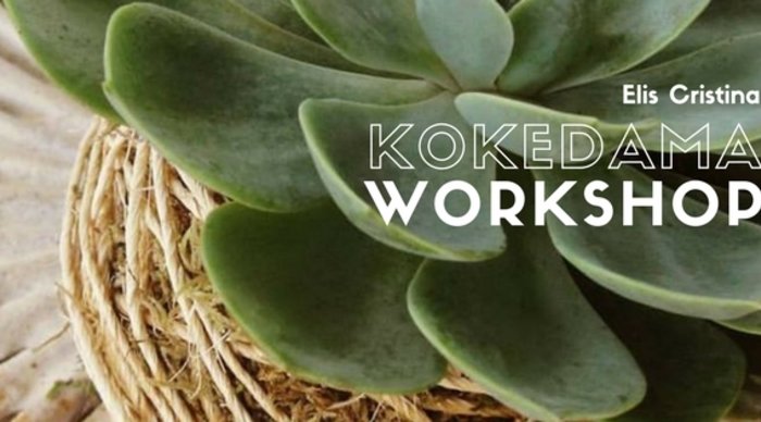 Scaled_evento_kokedama
