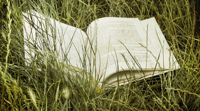 Scaled_book