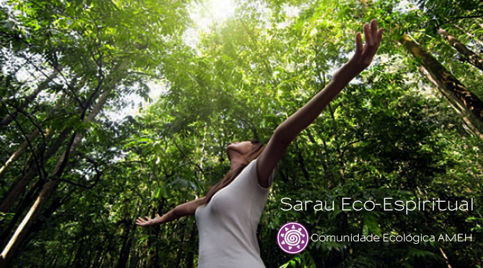 Scaled_sarau_3