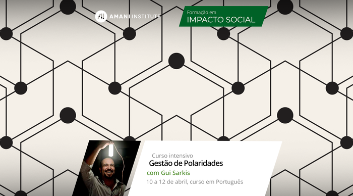 Scaled_gestao_de_polaridades_cinese