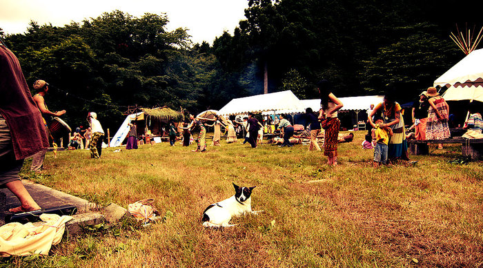 Scaled_festa