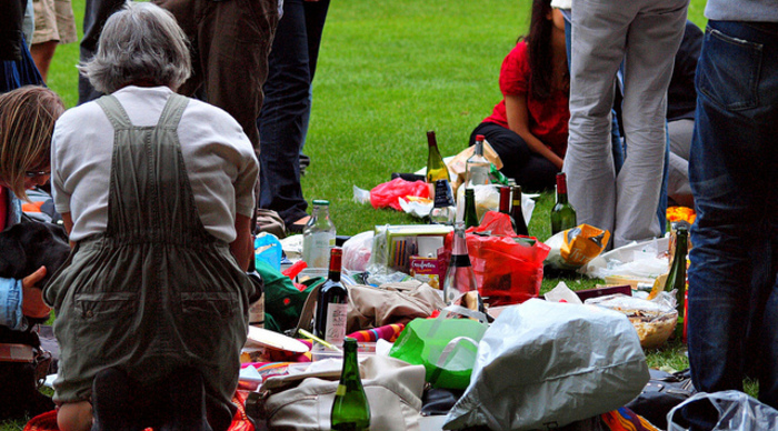 Scaled_picnic