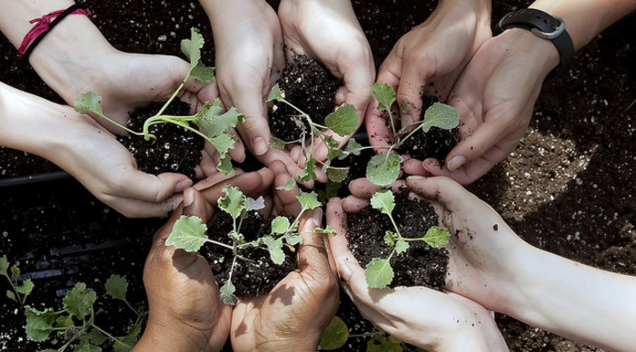 Scaled_sustainability