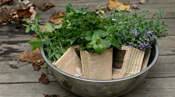 Scaled_herbs