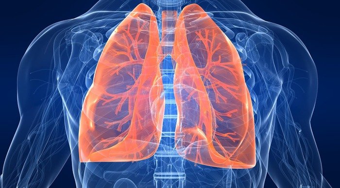Scaled_lungstoraxgg2