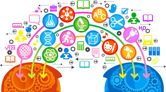 Scaled_exchange_brain_cut