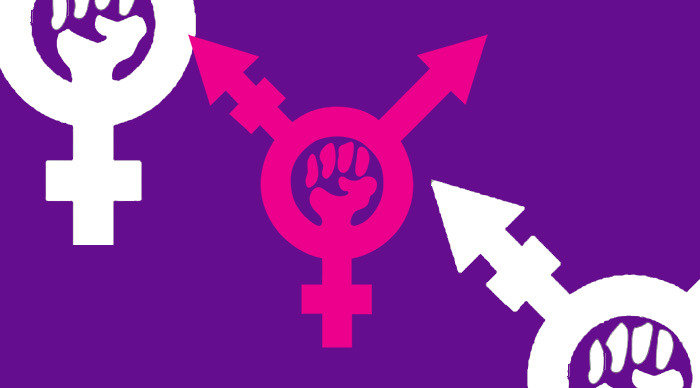 Scaled_transfeminismo_curso