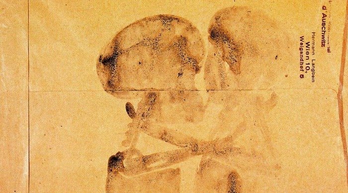 Scaled_beuys_skulls_kissing