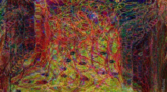Scaled_970206_10200149528240788_1551911608_n