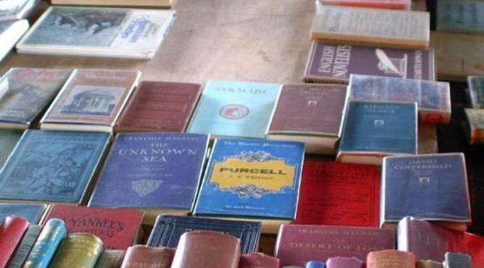 Scaled_books