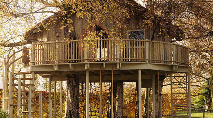 Scaled_casa-na-arvore-151