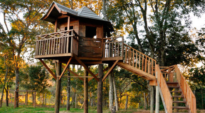 Scaled_a_casa_na_arvore