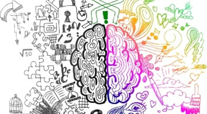 Scaled_cerebro_criatividade