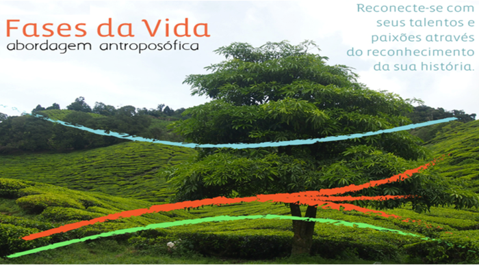 Scaled_fases_da_vida_pampedia